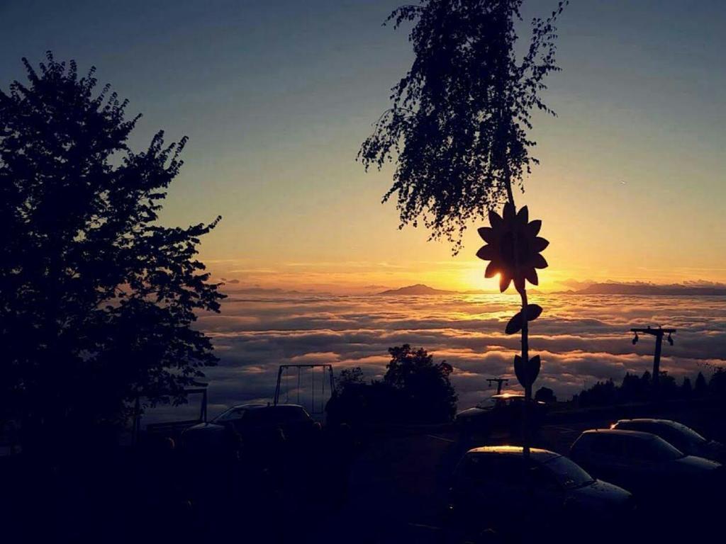 Guest House Pr Ambruzarju & Apartments سيركلجي نا جورينجسكيم المظهر الخارجي الصورة